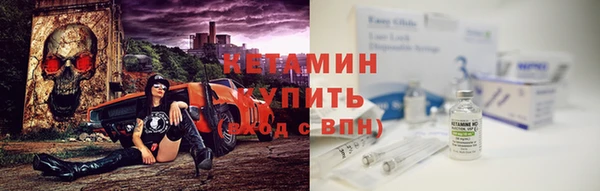 прущие грибы Михайловка