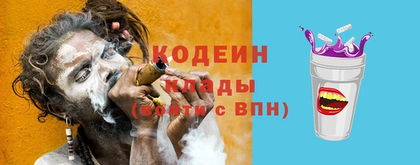 ПСИЛОЦИБИНОВЫЕ ГРИБЫ Михайлов