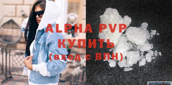 ПСИЛОЦИБИНОВЫЕ ГРИБЫ Михайлов