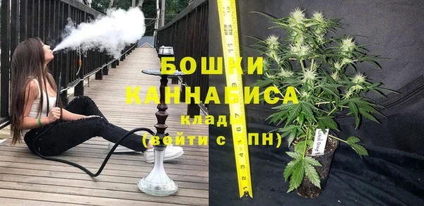 ПСИЛОЦИБИНОВЫЕ ГРИБЫ Михайлов