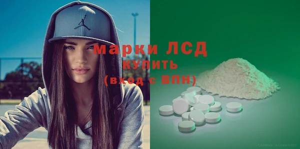 ПСИЛОЦИБИНОВЫЕ ГРИБЫ Михайлов