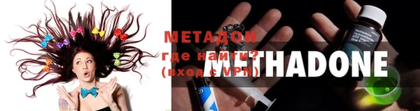 ПСИЛОЦИБИНОВЫЕ ГРИБЫ Михайлов