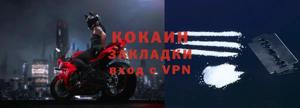 прущие грибы Михайловка