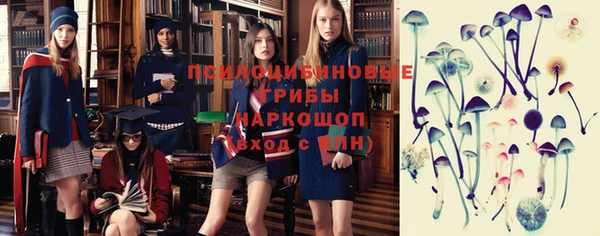 прущие грибы Михайловка