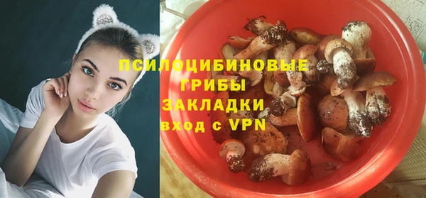 прущие грибы Михайловка
