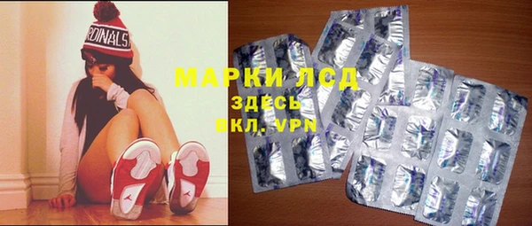 ПСИЛОЦИБИНОВЫЕ ГРИБЫ Михайлов