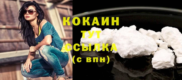 ПСИЛОЦИБИНОВЫЕ ГРИБЫ Михайлов