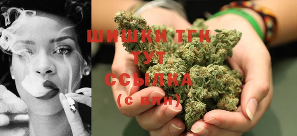 прущие грибы Михайловка